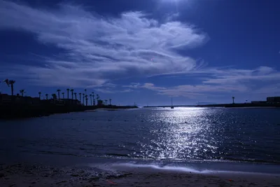 DSC_0800 (Large).JPG